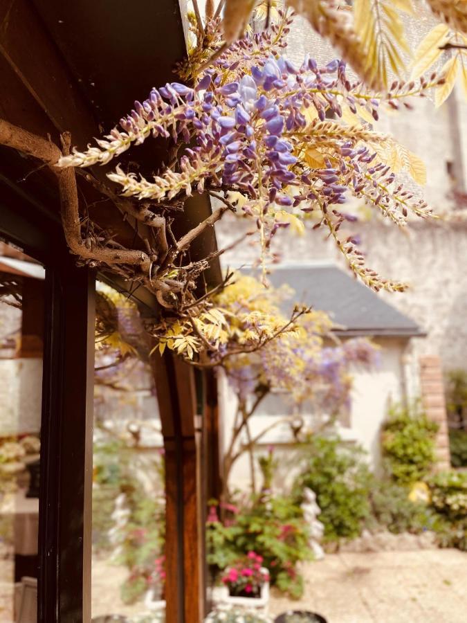 Hotel De La Sologne Beaugency Buitenkant foto