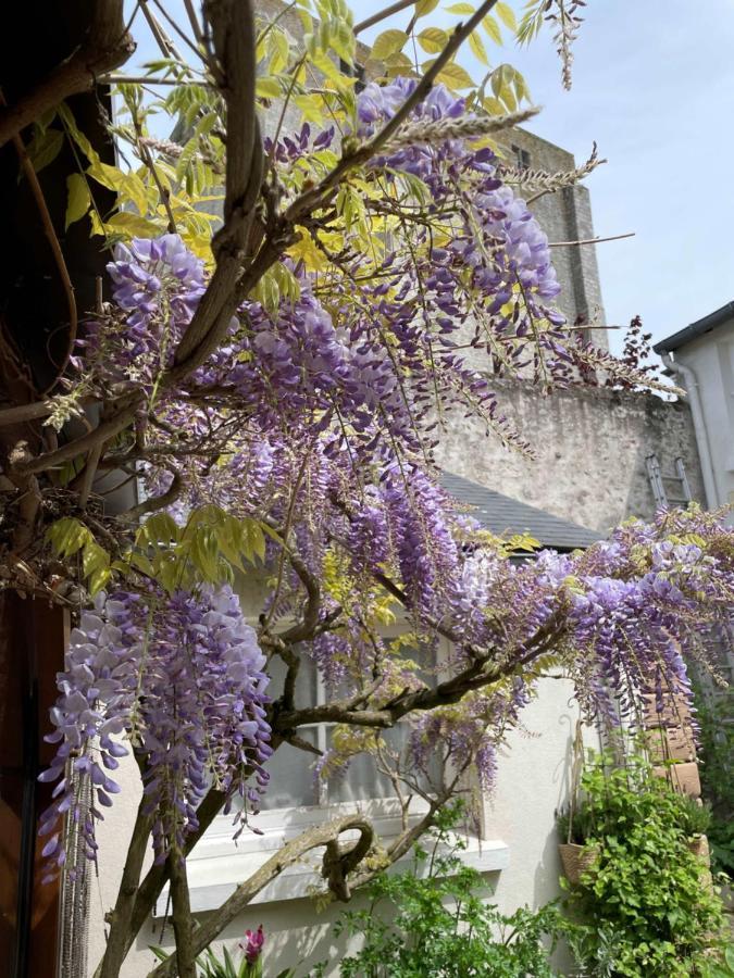 Hotel De La Sologne Beaugency Buitenkant foto